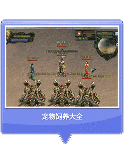 迅雷新魔界的职业介绍