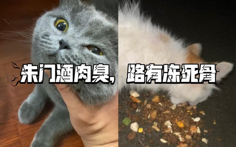 路有冻死骨朱门酒肉臭全诗句