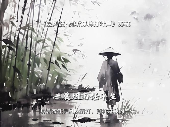 一衰烟雨任平生全诗