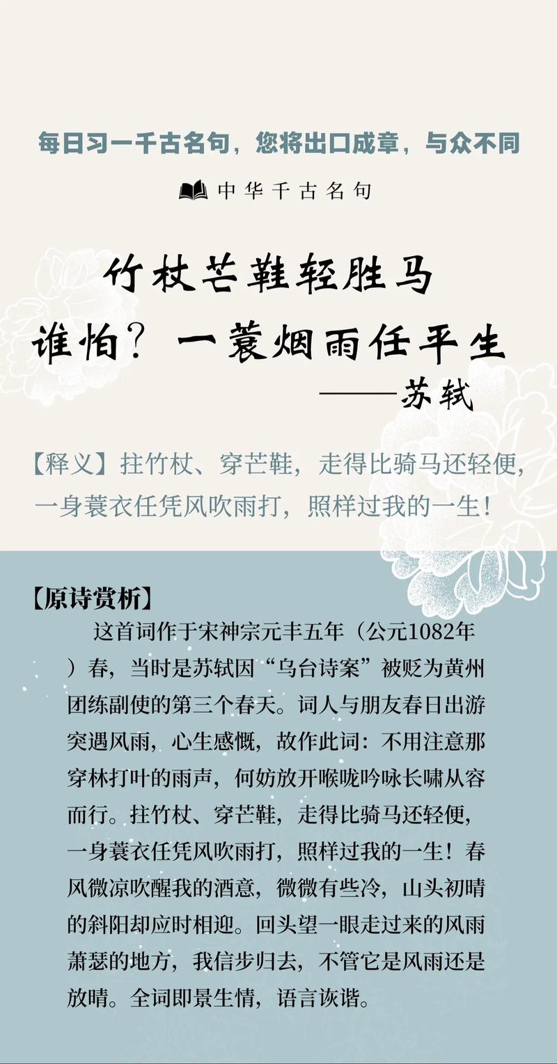 一蓑烟雨任平生意思是什么