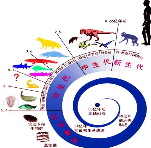 大陆漂移学说中的“盘古大陆”和“泛大洋”是否太理想化了