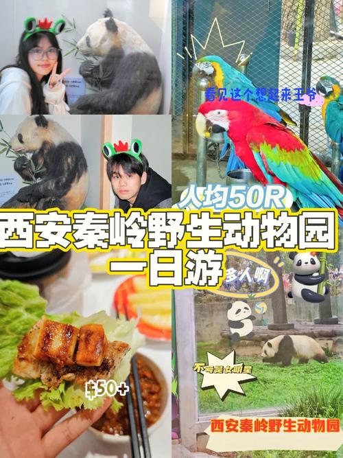 动物园附近有啥好吃的