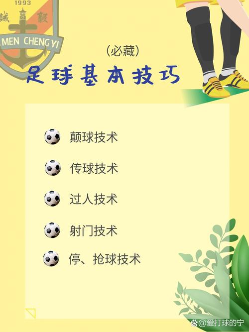 足球和踢足球哪个是运动项目?