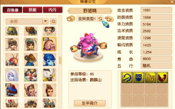 变异芙蓉仙子颜色
