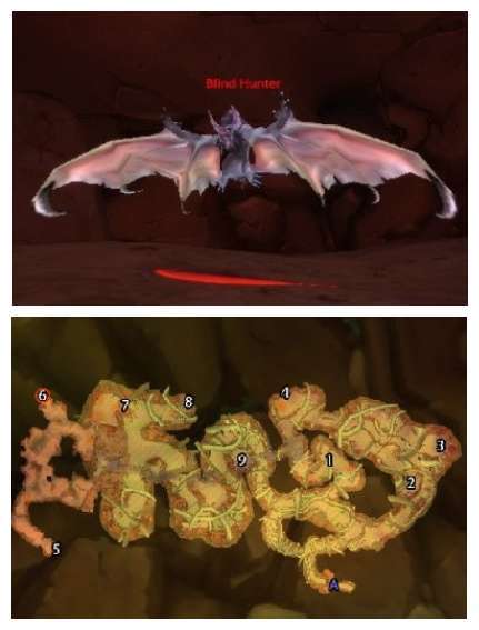魔兽蝙蝠宝宝哪抓的
