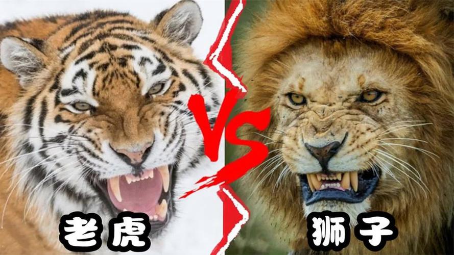噩梦游乐场副本介绍