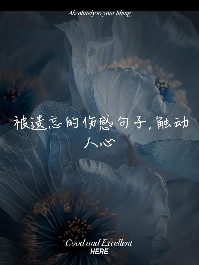 被遗弃的伤感说说句子