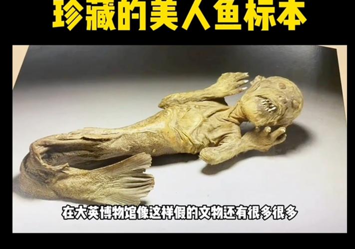 网上流传的美人鱼标本是真的吗