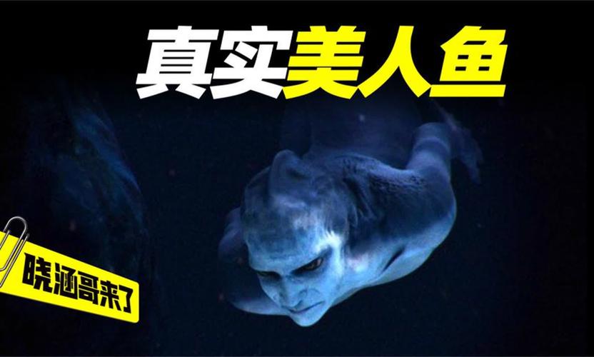 美人鱼真实存在吗