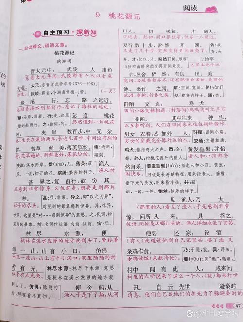 穿越归来的章节目录