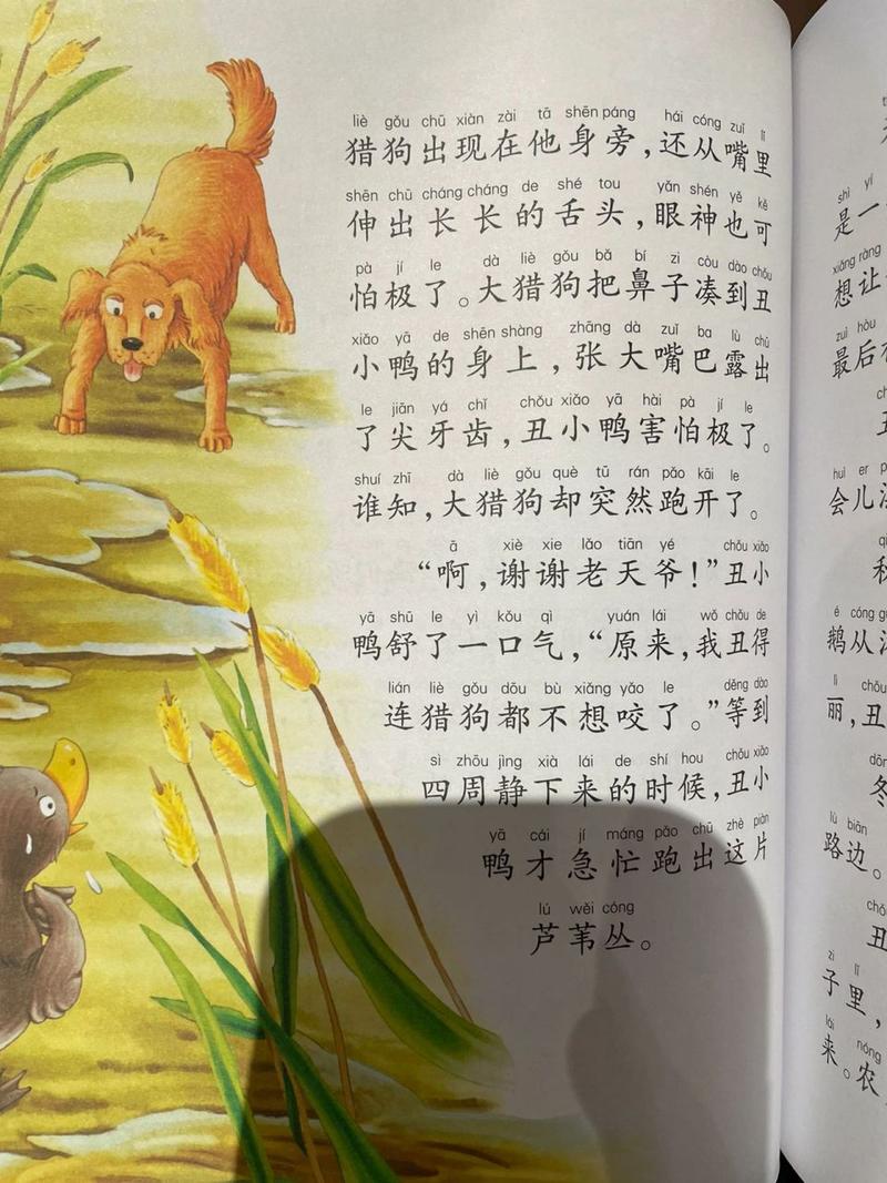 丑小鸭这个单词怎么拼