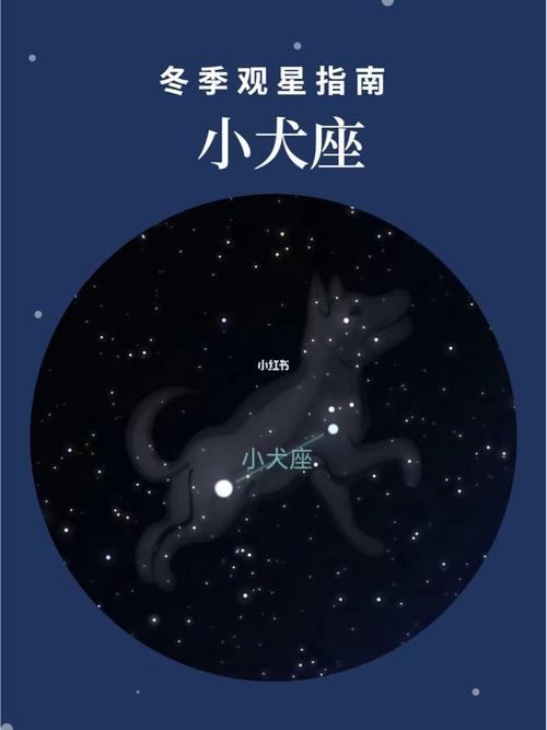 满天星斗呼唤我(20)——南河三