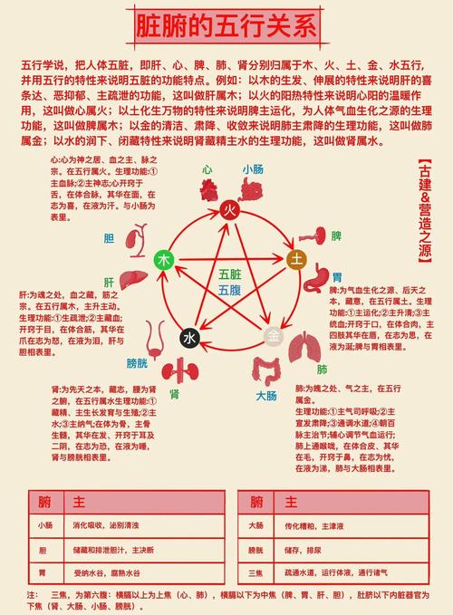 相生相克是什么意思?