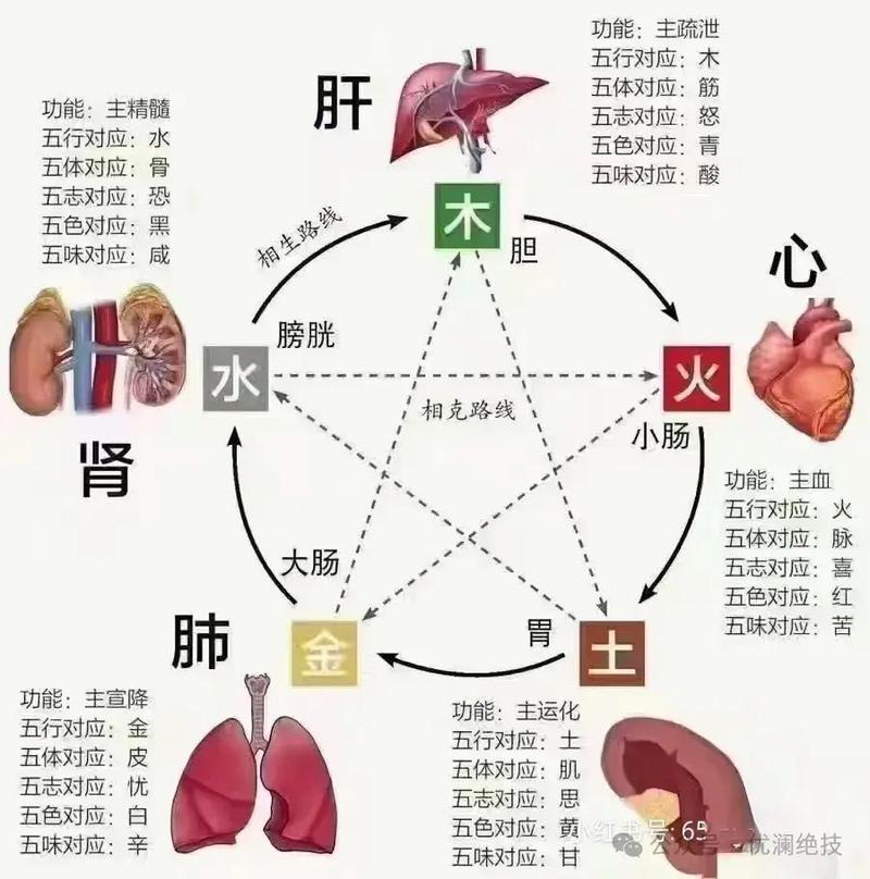 招字五行属什么