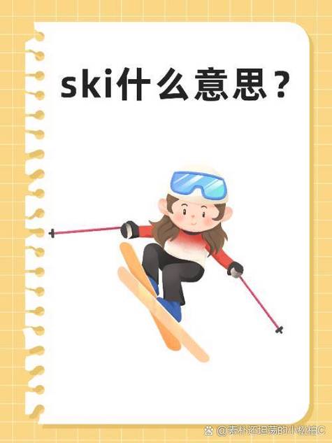 skies复数是什么意思啊?及造句是?