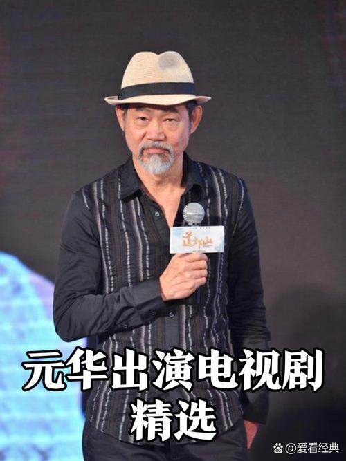元华主演的所有电视剧