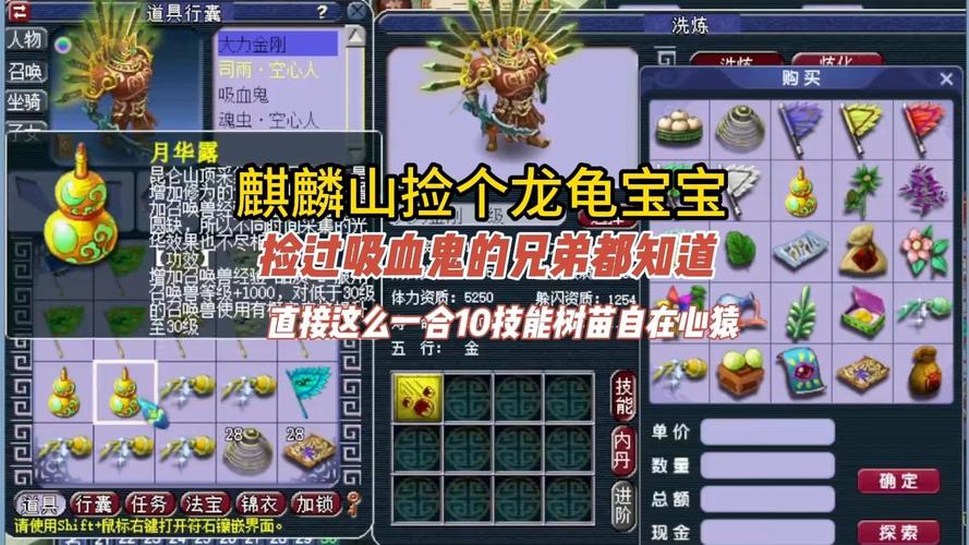 麒麟山抓什么宝宝比较好