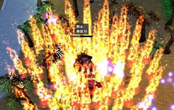 海盗王无双大蛇1.7攻略