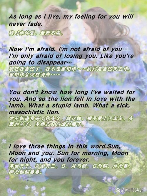 暮光之城。用英语怎么翻译