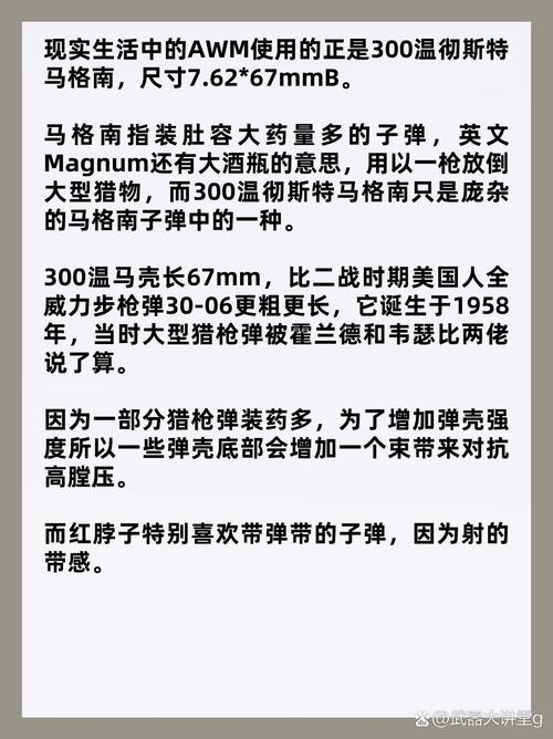 科普一波AWM的.300马格南弹可好?