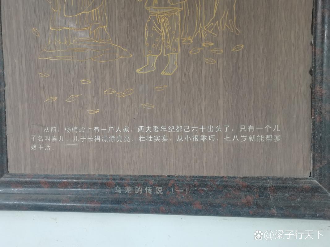 龙卵看护人的数据资料