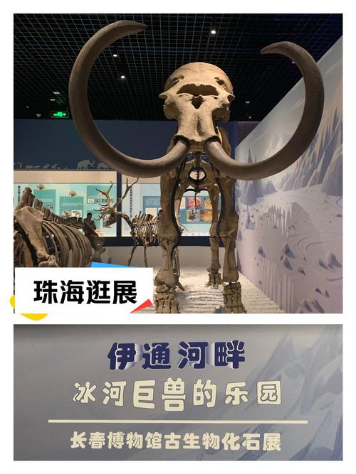 游戏王里的人法老王有那40张卡