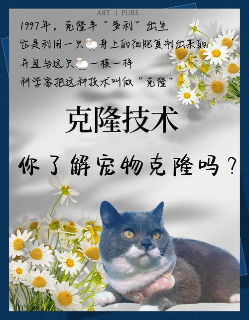 《异种》系列中出现的不同形态异种有哪些?