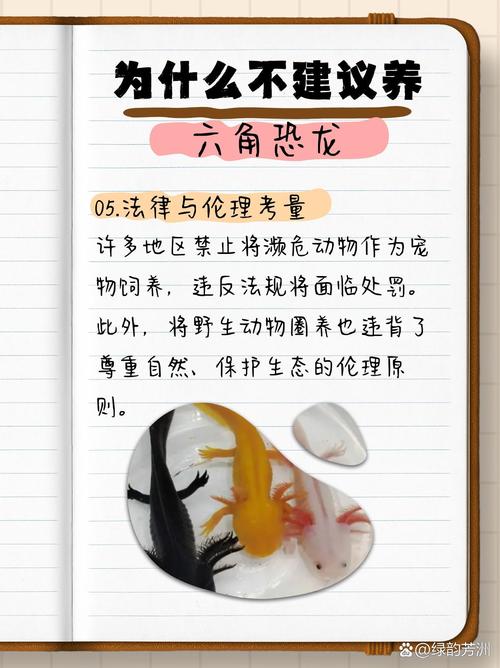 国家允许猎杀野猪吗?
