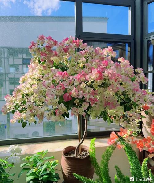 阿拉斯加深海鱼油吃了有什么作用?