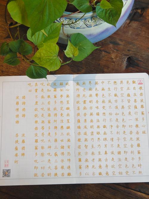 什么是般若多罗蜜心经?