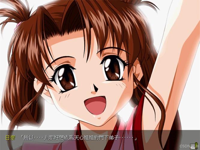 战国美少女2:春风之章游戏配置