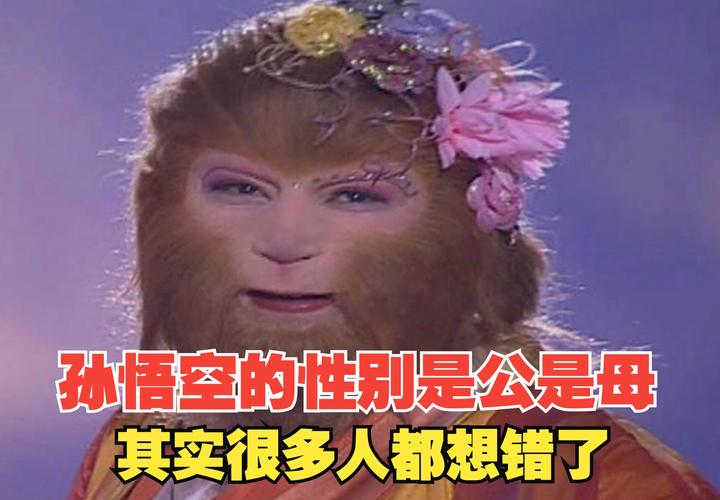 大话西游2的所有剧情任务