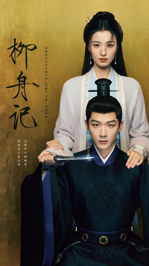 柳舟记陆文什么身份