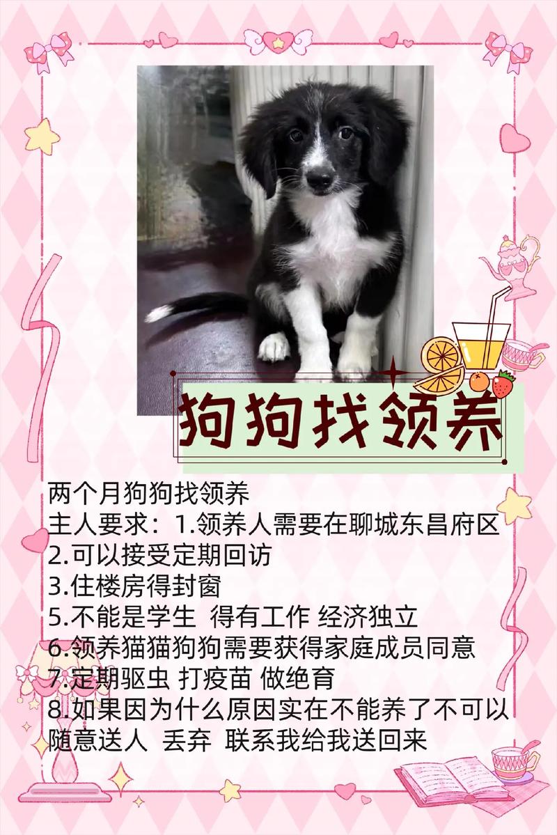 唐山有哪些流浪狗救助站呢?