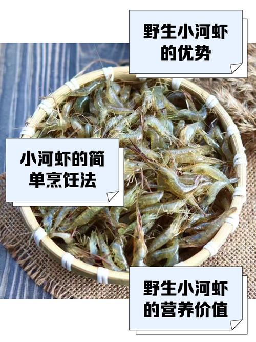 梦幻西游的固定任务都有什么