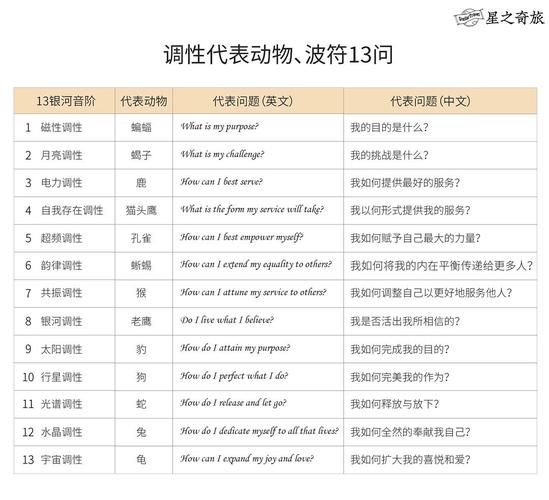vinata波符13问自我解析