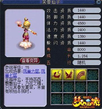 梦幻芙蓉仙子配哪些技能好?