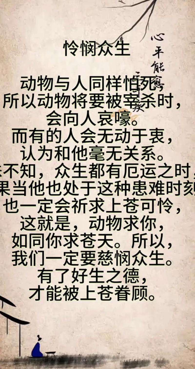 残忍的慈悲的残忍的慈悲属性