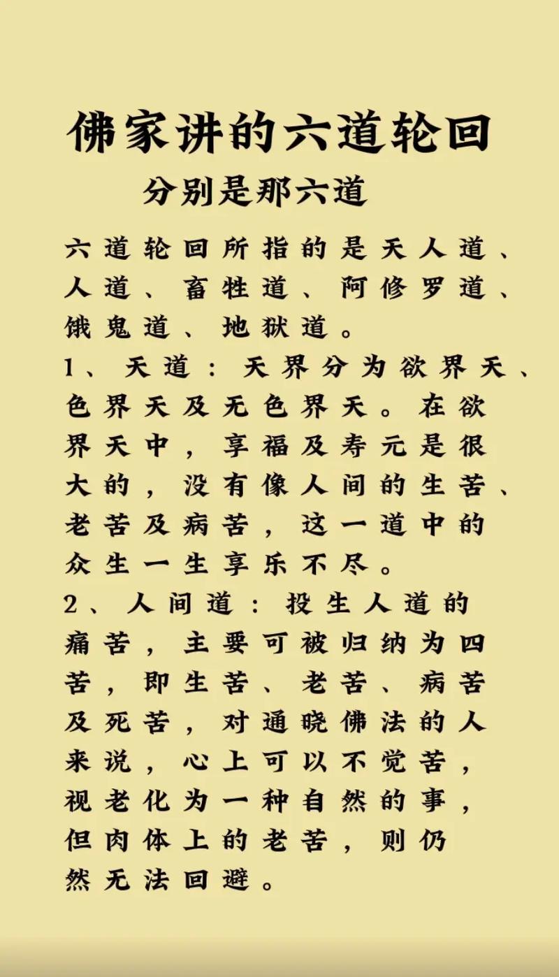 请详细介绍一下六道轮回的各道情况
