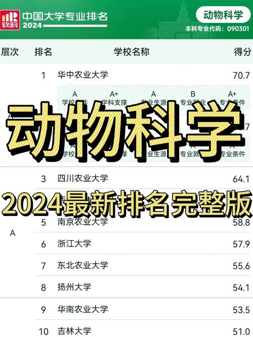 王云峰人物简历