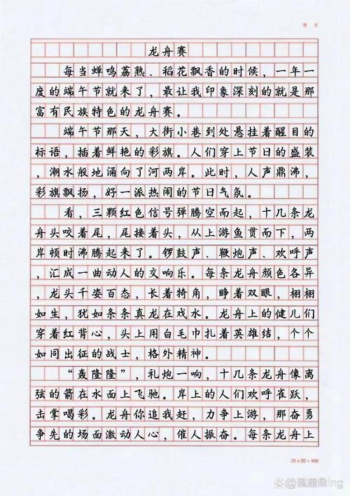 赛龙舟作文700字