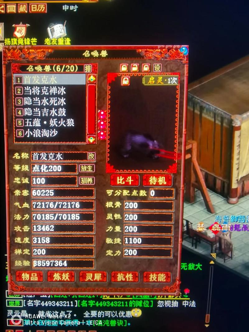 大话2黑熊精宝宝怎么加点吃什么内丹