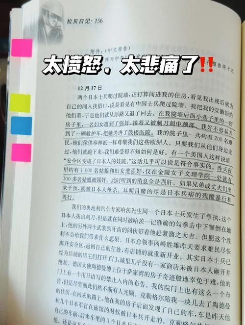 关于贝拉摩尔的研究日记!!!