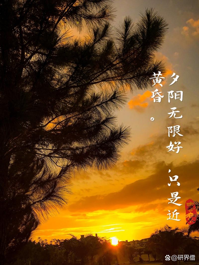 只是近黄昏的全诗