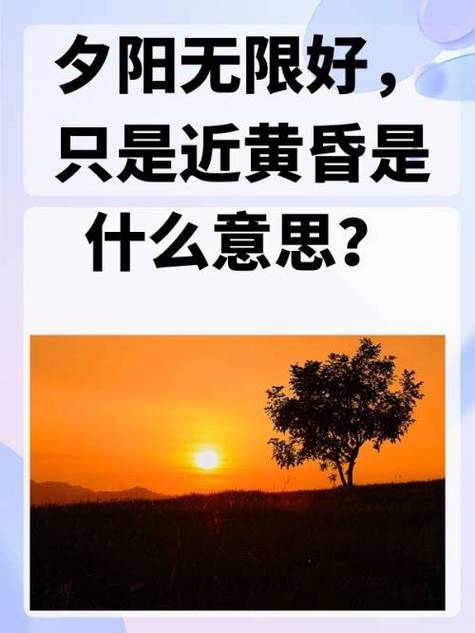 “夕阳无限好,只是近黄昏。”下一句是什么?