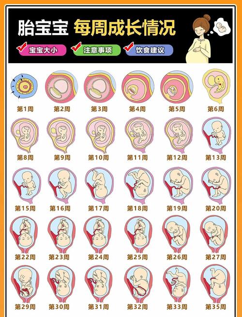 如何识别宝宝我40龙宫还不认识宝宝