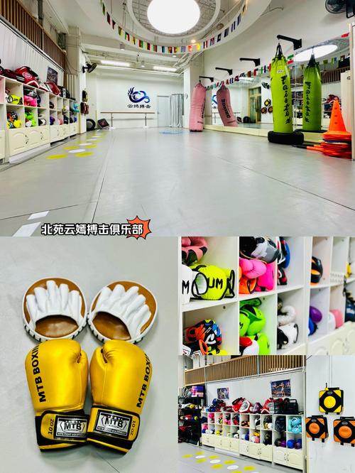 综合格斗俱乐部排名