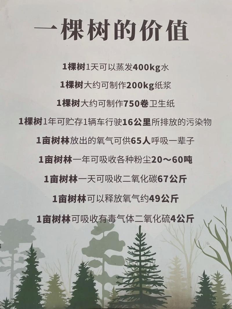树林里一天中什么时候氧气比较多