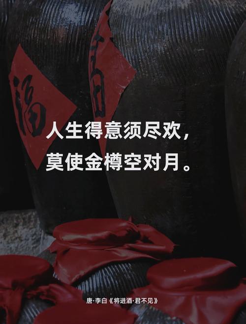 人生得意须尽欢莫使金樽空对月是什么意思
