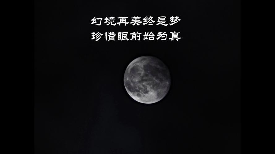 莫使金樽空对月的全诗